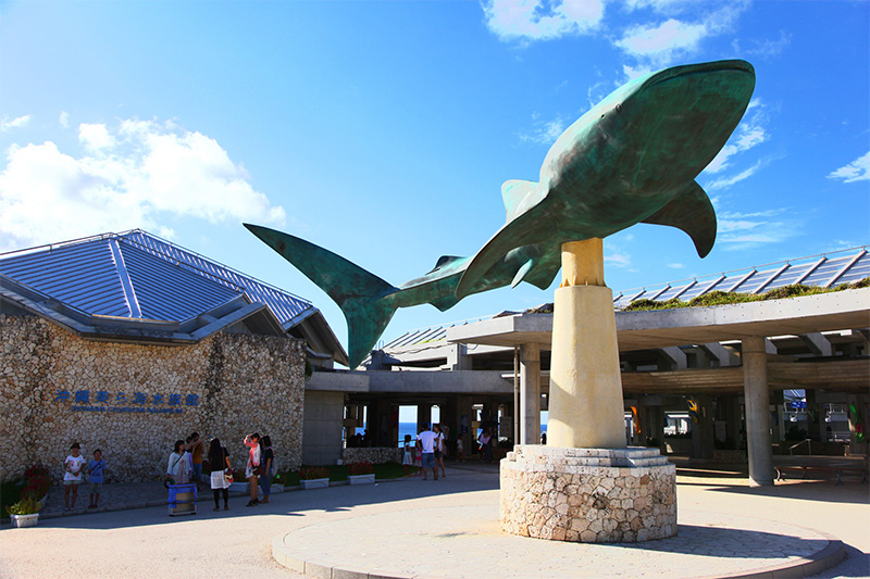 美ら海水族館